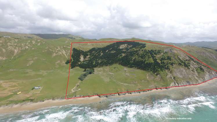 Waitangi Road Waimarama_10