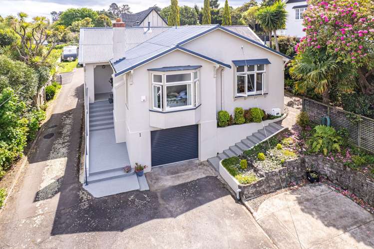 1 Brassey Road Saint Johns Hill_1