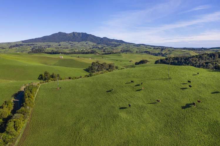 535 Maungatawhiri Road_5