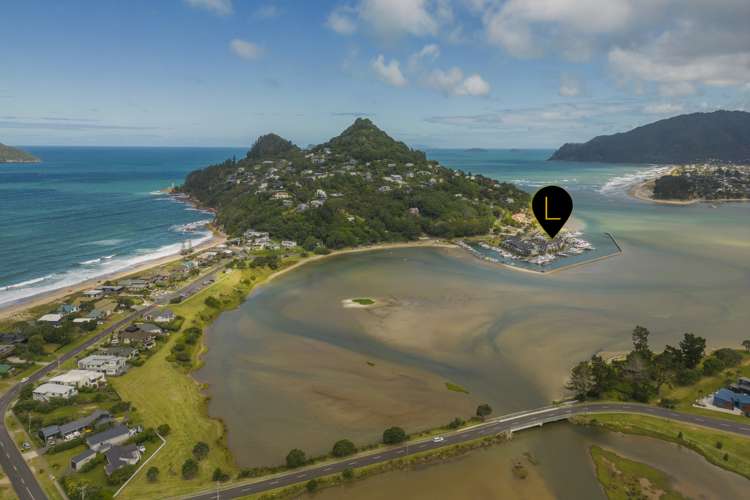 Villa 6/6 The Marina Tairua ThamesCoromandel Houses for Sale
