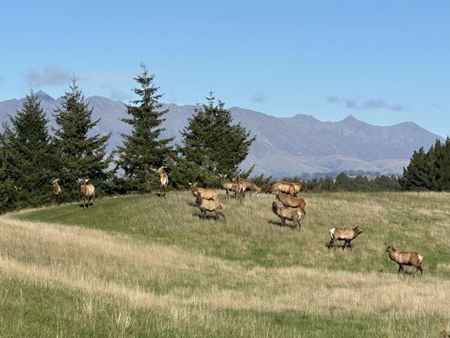 561 Te Anau Mossburn Highway Te Anau_2