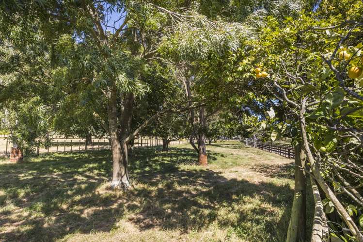 220 Dixons Line Bunnythorpe_15