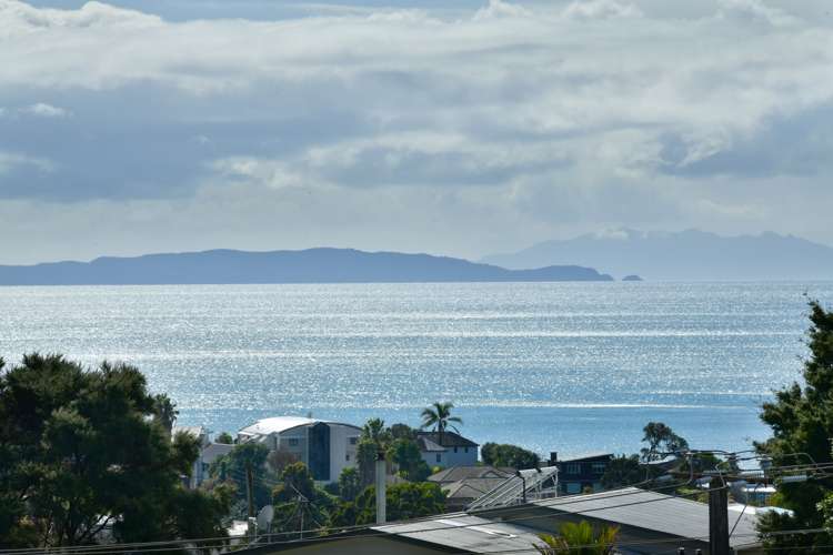 8a Scott Road Stanmore Bay_17