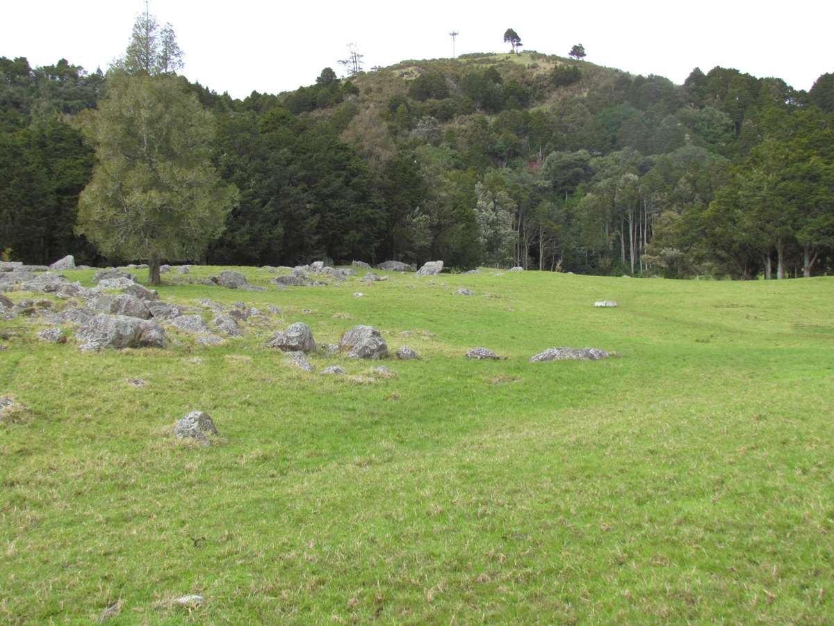Tremain Road_4