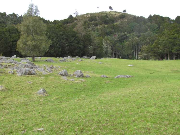 Tremain Road Ruatangata West_8