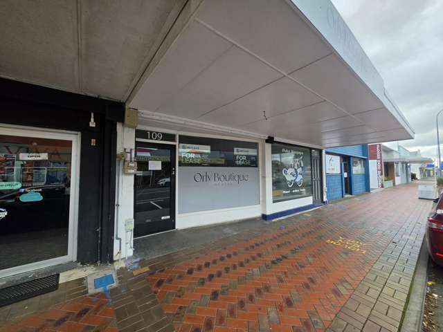 109 Princes Street Hawera_1