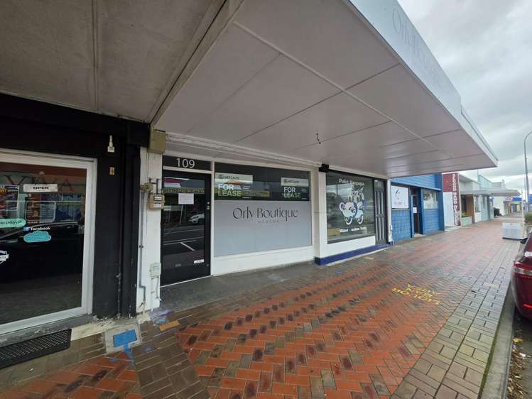 109 Princes Street Hawera_1
