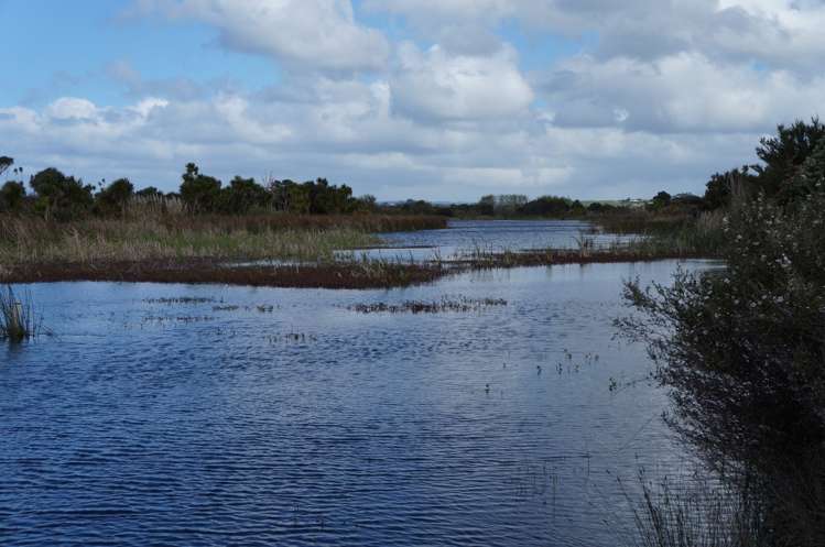 16 Dune Lake Place Ruakaka_5