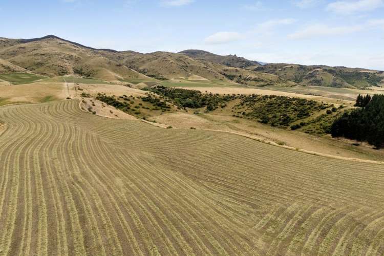 Lot 8 501 Waikerikeri Valley Road_12