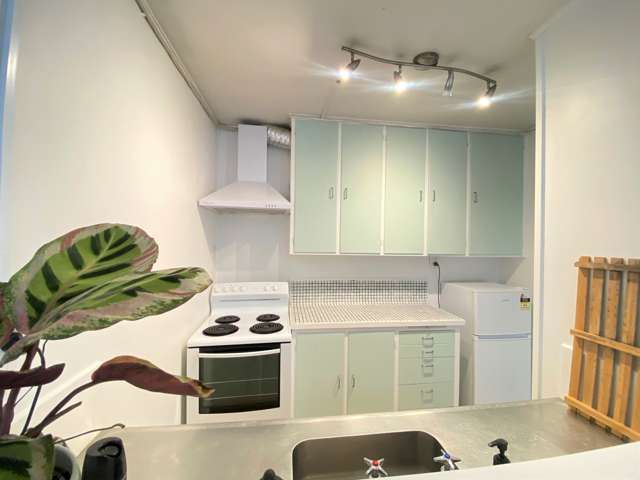 1/58 Wellington Street Freemans Bay_3