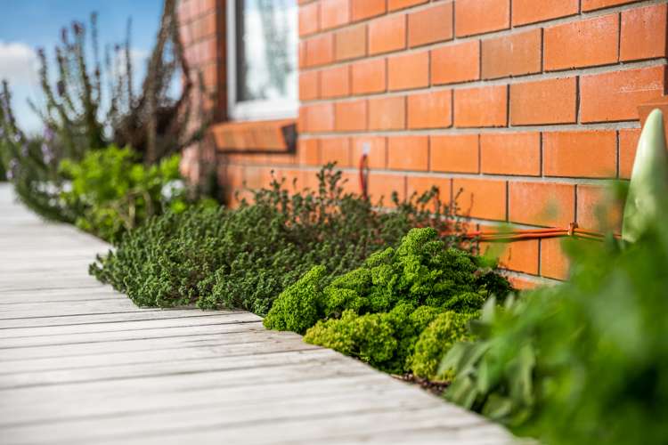 29 Beachwood Drive Hatfields Beach_6