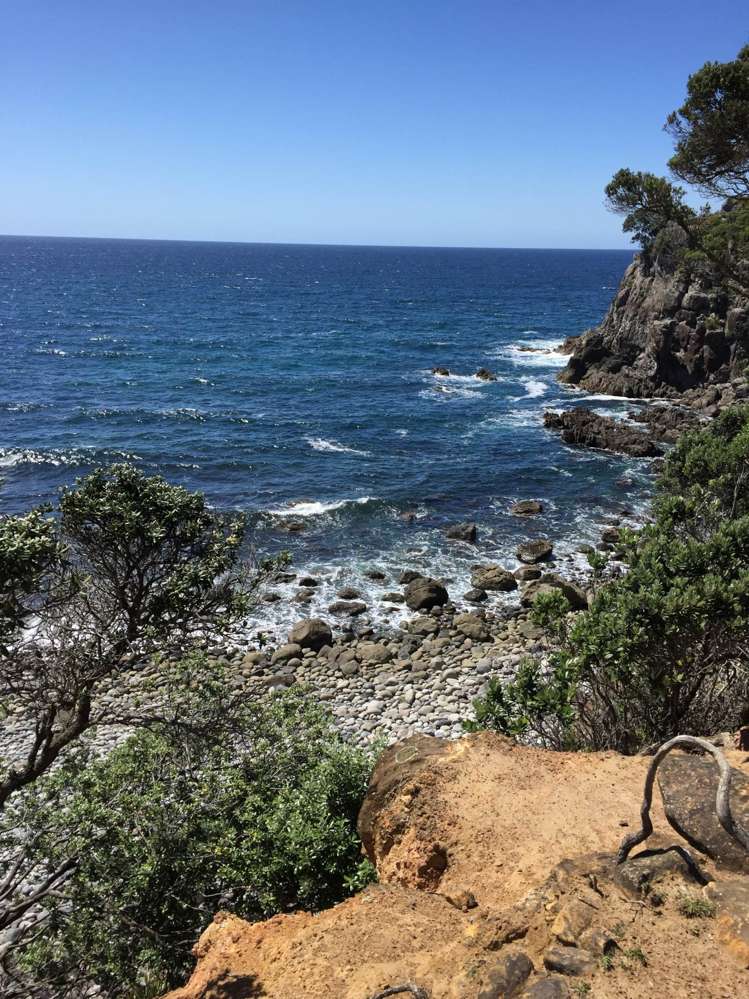 190 Pacific Ocean, Slipper Island (Whakahua) Thames_69