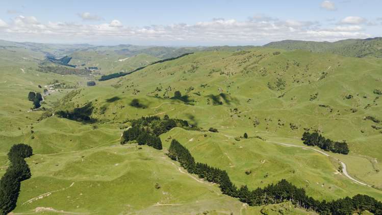 1337 Coonoor Road Pahiatua_10
