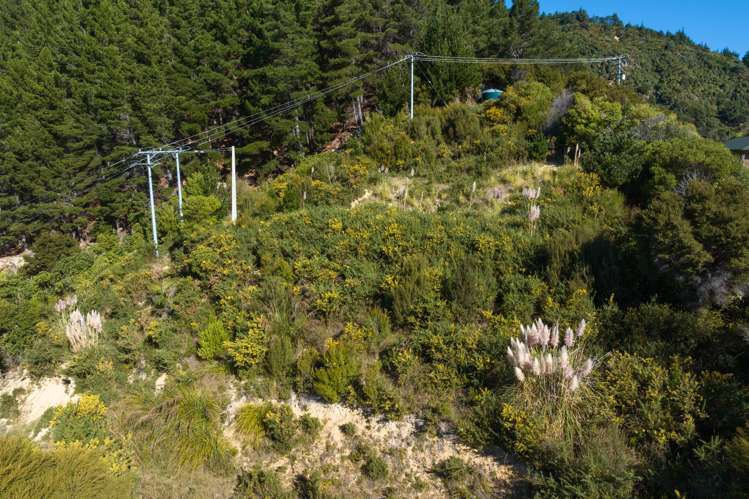 318 Port Underwood Road Waikawa_16