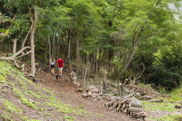 118b Prole Road Omokoroa_22