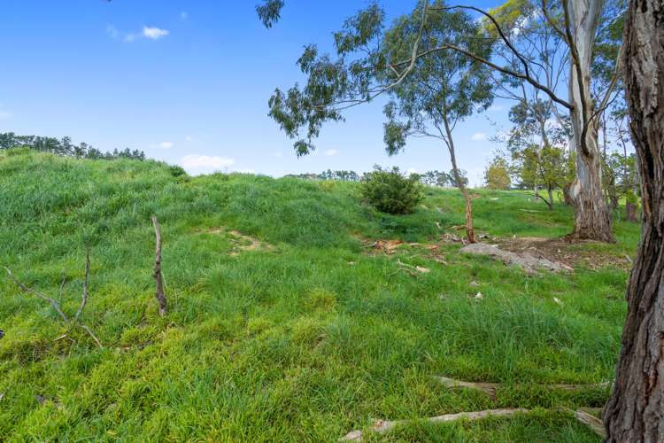 Wards Line Greytown_6