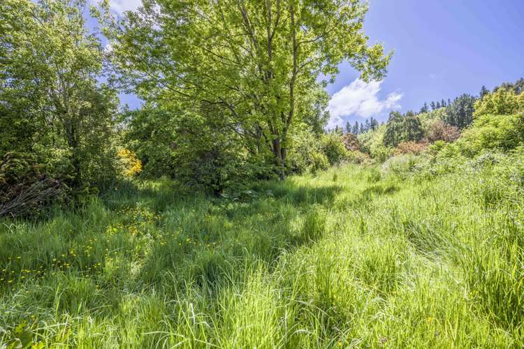 12 Ettrick Street Nightcaps_21