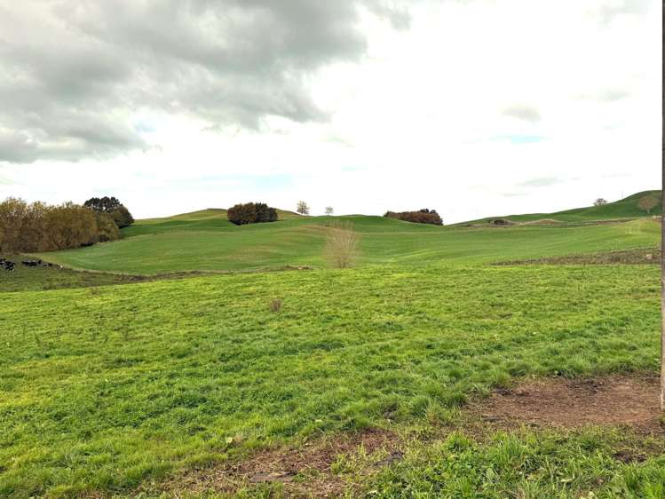 Overdale Road Putaruru_7