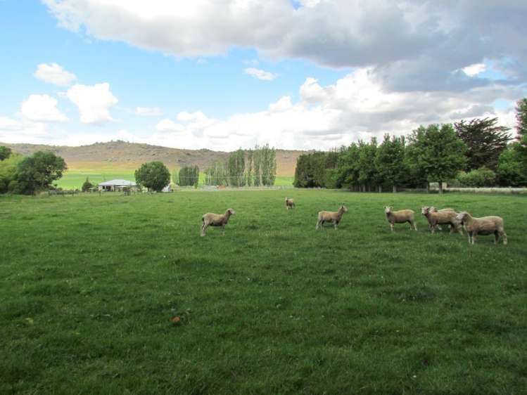 18 Symes Road Alexandra_16