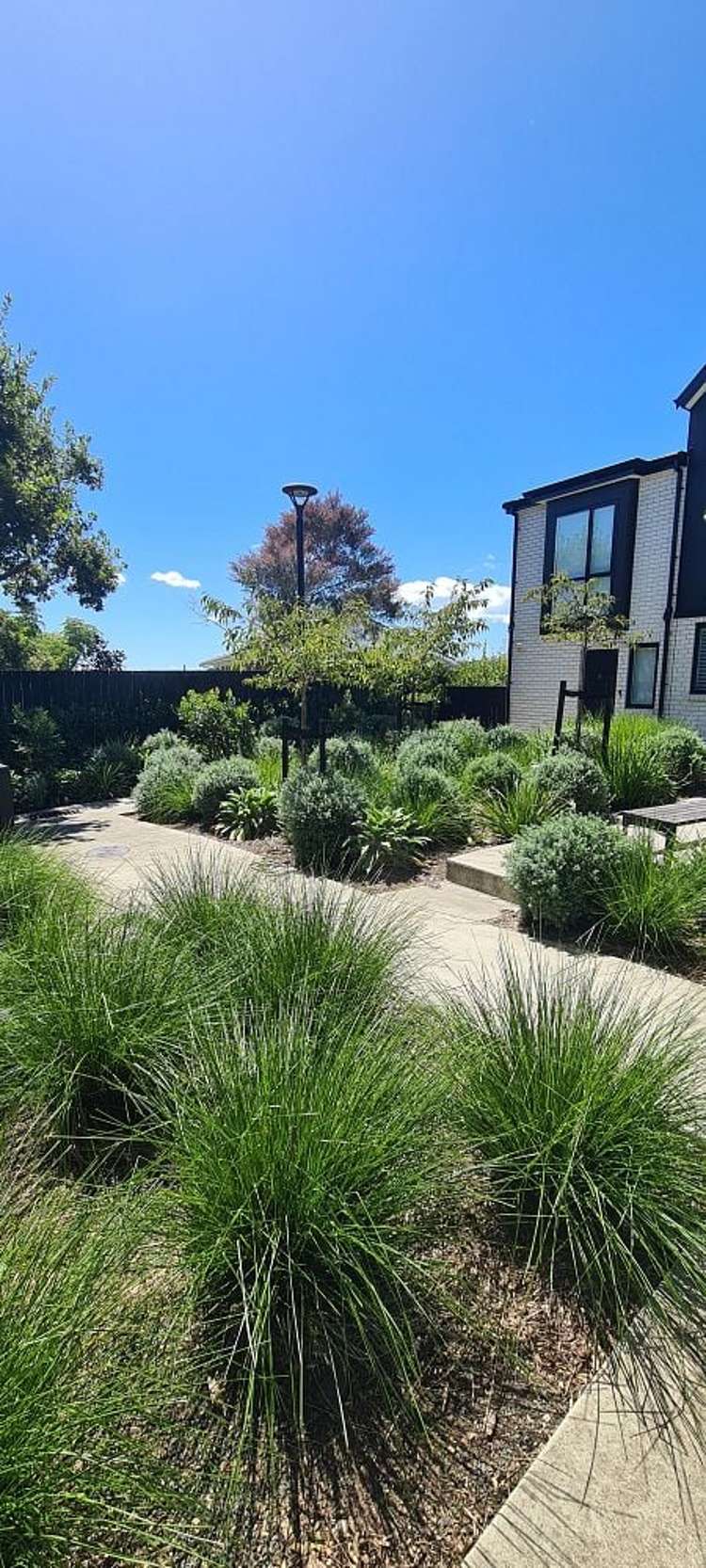 36 Wharara Lane Massey_1