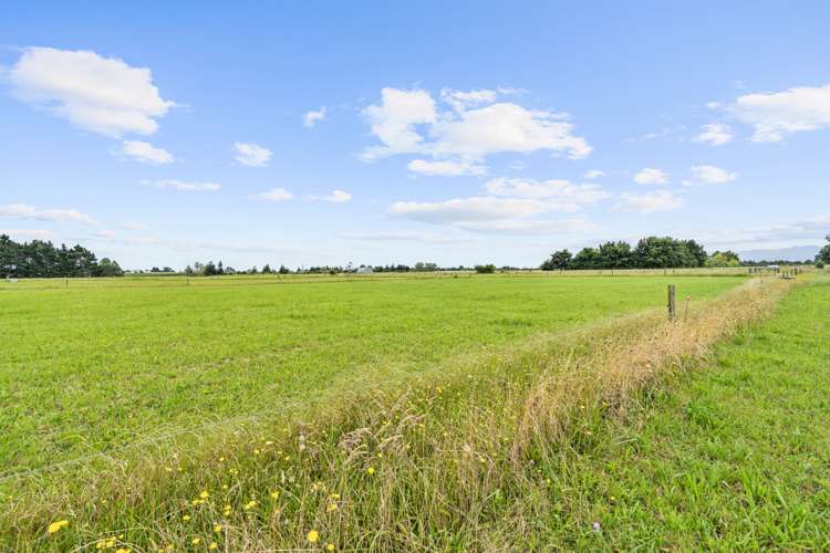 Tower Road Matamata_12