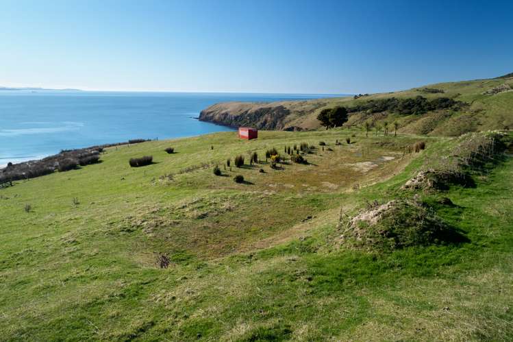 205 Heyward Point Road Heyward Point_20