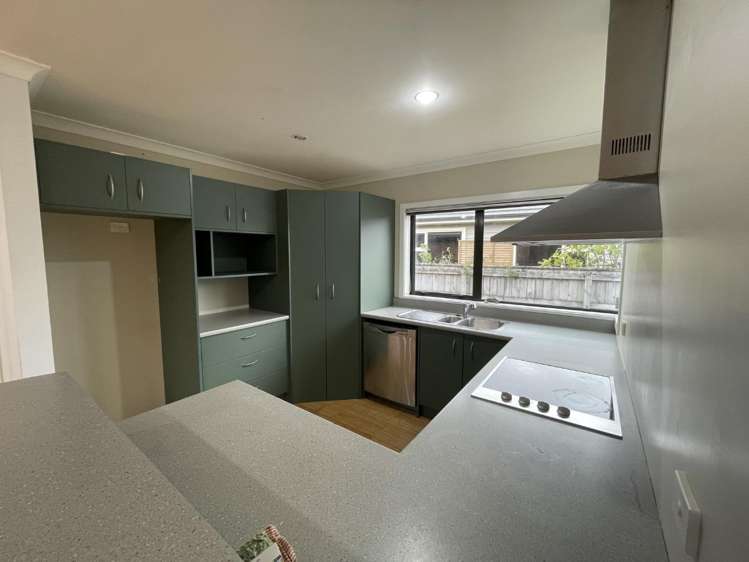 5 Catlins Glen Aotea_5