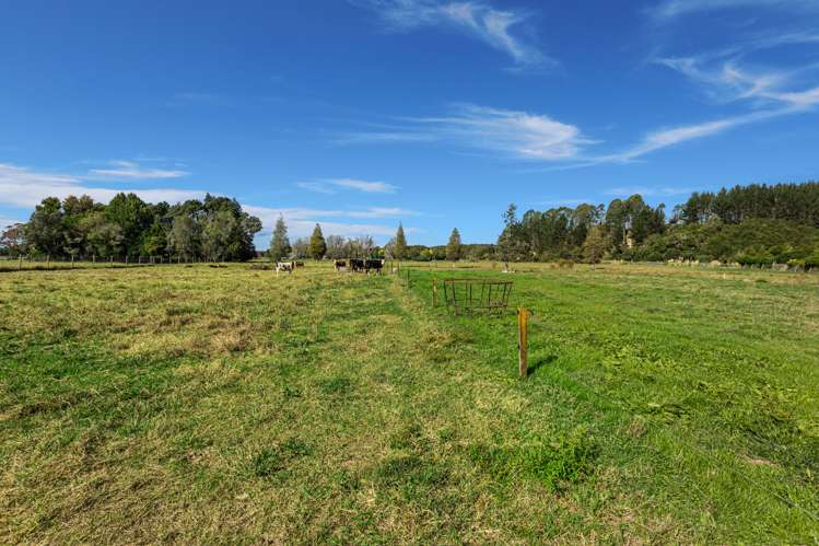 1255 Braemar Road Rotoma_22