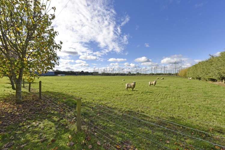 1504 Old West Coast Road West Melton_18