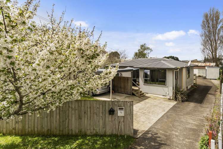 12 Matangi Road Mount Wellington_4