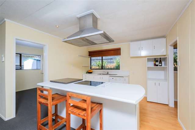 18a Dryden Street Grey Lynn_2