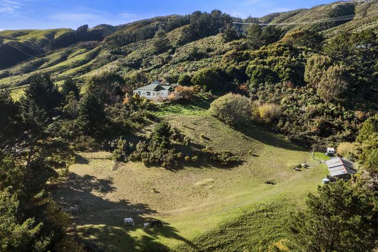 8 Mount Cecil Road Moonshine Valley_16