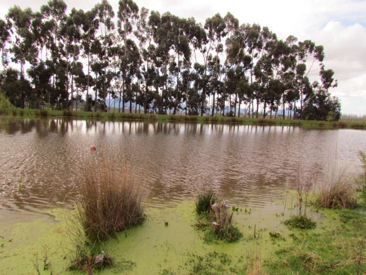 147 Wrekin Road Fairhall_9