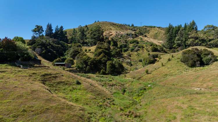 175 Dehra Doon Road, Riwaka Motueka_19