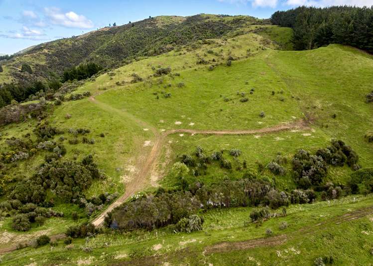 101b Bulls Run Road Moonshine Valley_21