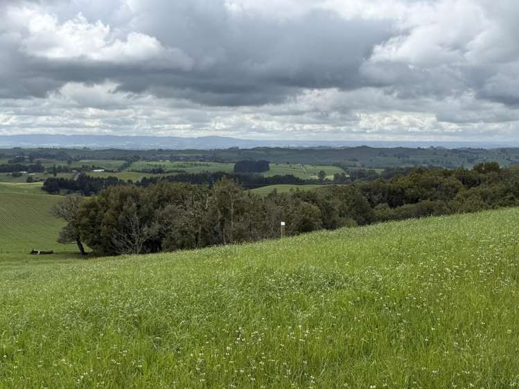 Taotaoroa Road Karapiro_9