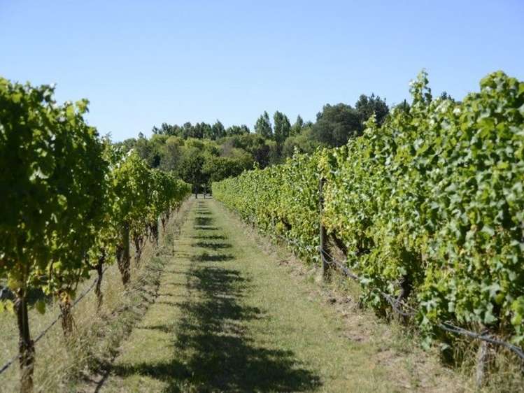 340 Gladstone Road Gladstone_5