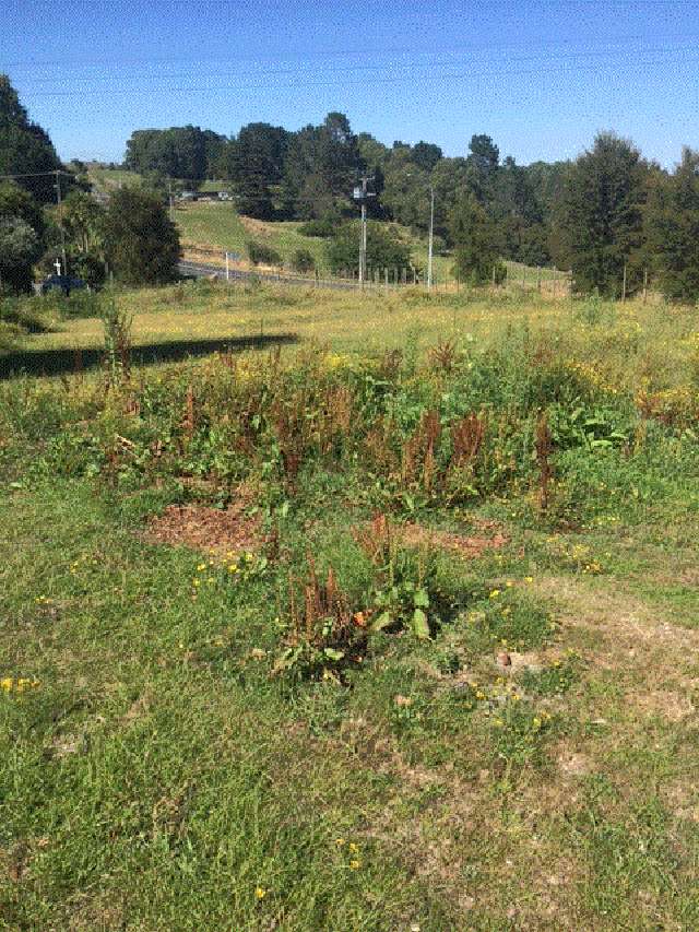 Arapuni Road Arapuni_1