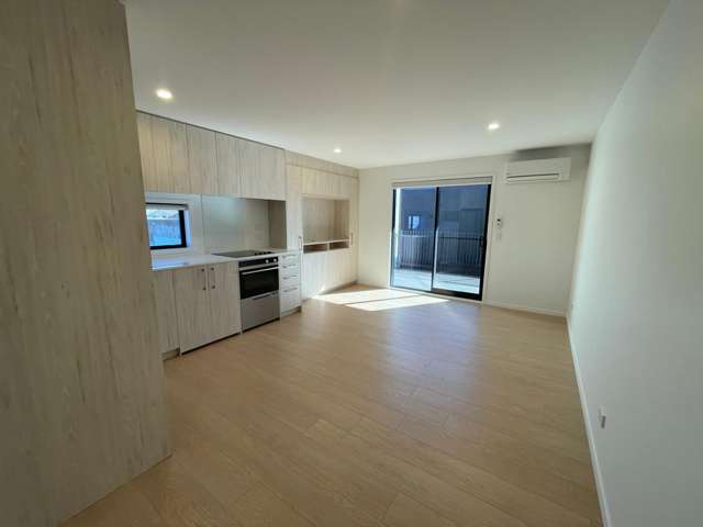  101/73 Ferry Road Christchurch Central_1