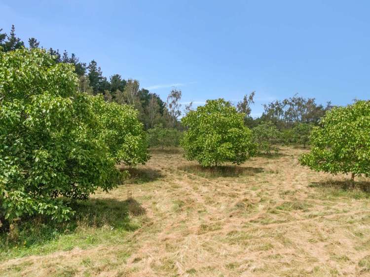 180 Paierau Road Masterton_23