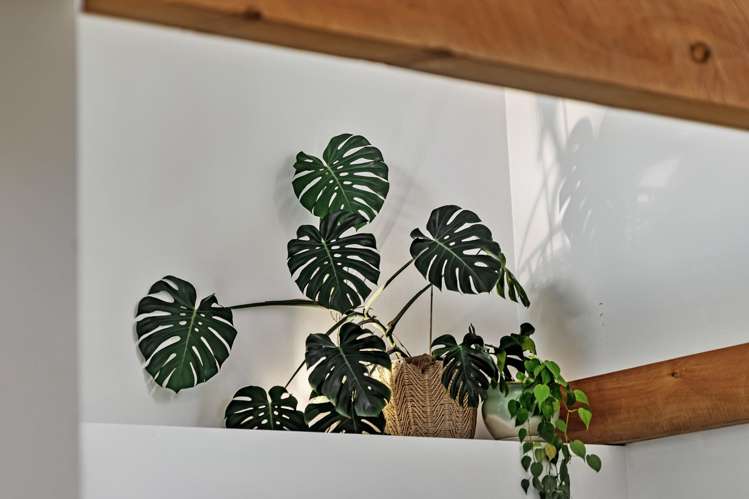 322 Kokopu Road Ruatangata_7