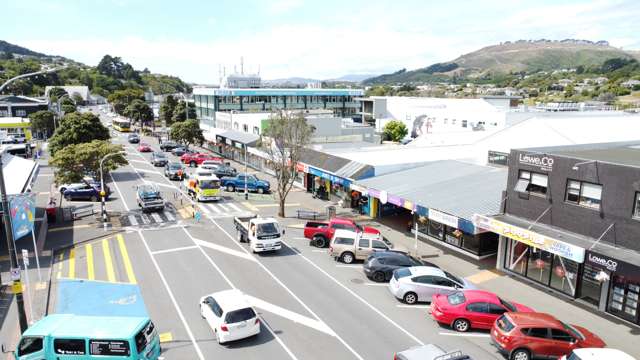 Units 4 and 5/182 Main Road Tawa_4