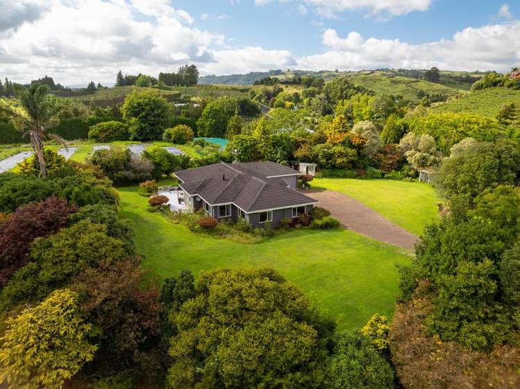 389 Old Highway Whakamarama_22