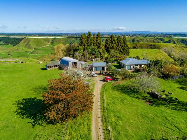 307 Campbell Road Pukehina_4