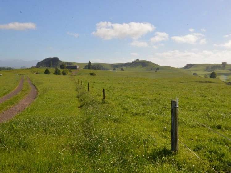 1035 Bayley Road Wharepuhunga_7