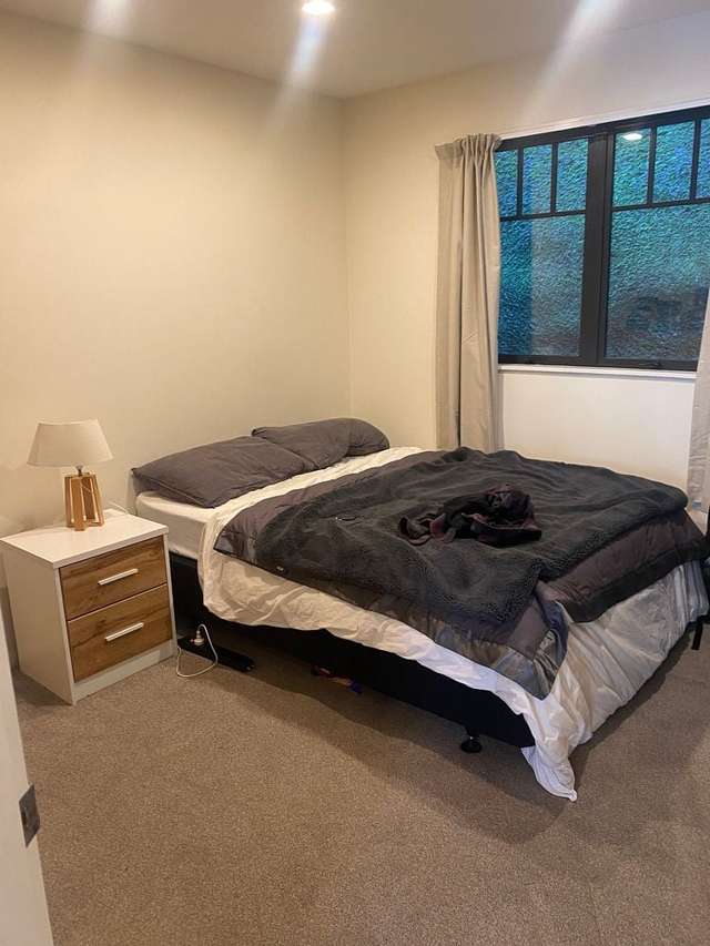 134A Aro Street Aro Valley_2