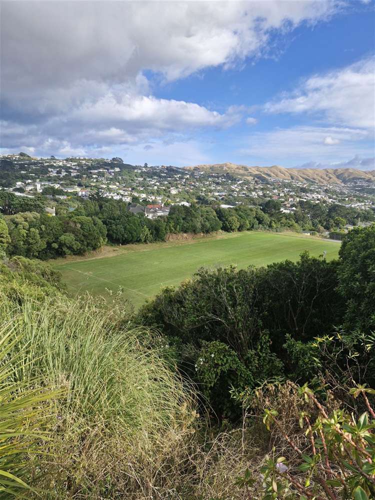 104 Stewart Drive Newlands_14