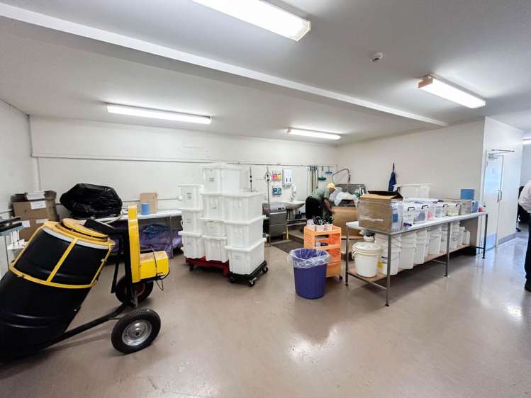 B4/48 Oakleigh Avenue Takanini_5