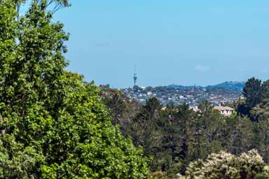 208 Albany Heights Road_4