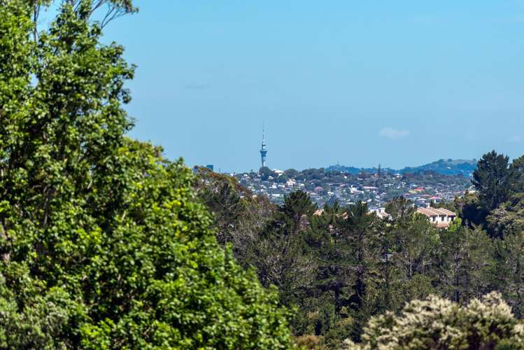 208 Albany Heights Road Albany Heights_4